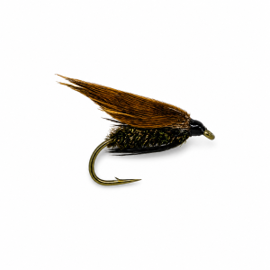 Alder