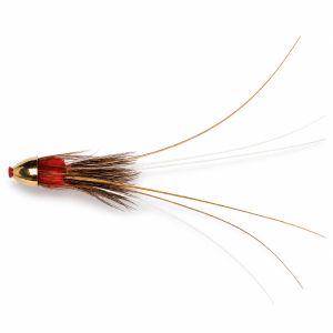 Frances Rauð Tungsten Cone