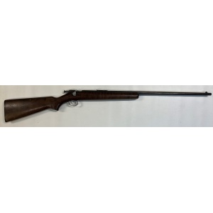 Winchester 22 short einskota