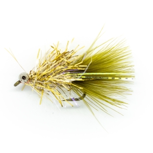 Gullbrá Olive