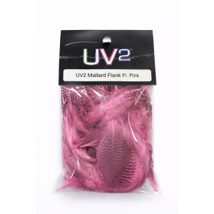 UV2 Mallard Flank – Fl. Pink