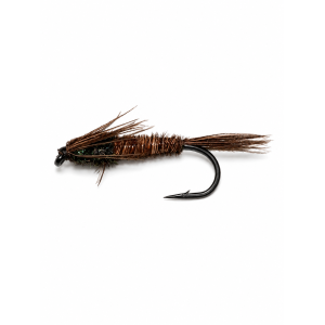 Pheasant Tail